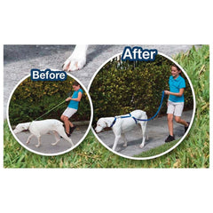 The Instant Gentle Dog Trainer Leash