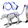 Image of The Instant Gentle Dog Trainer Leash