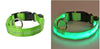 Image of Glow In The Dark LED Dog Safety Collar