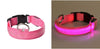 Image of Glow In The Dark LED Dog Safety Collar