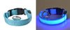 Image of Glow In The Dark LED Dog Safety Collar