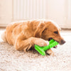 Image of STRESS-FREE DIY DOG TOOTHBRUSH