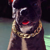 Image of Custom Gold Chain Ultra Strong Slip-Chain Dog Collar